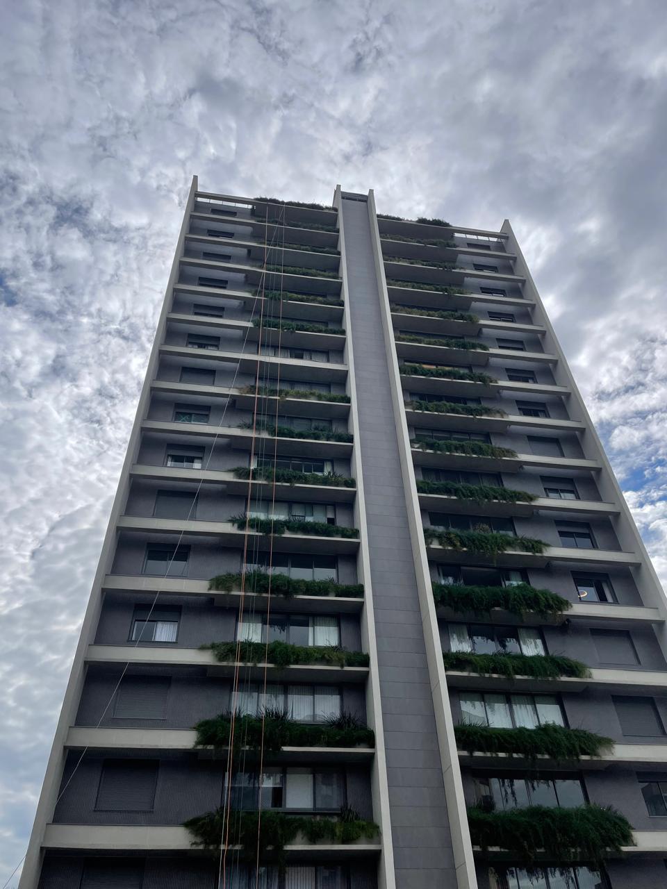 Poda em Jardim Vertical Cond. Seen Boa Vista