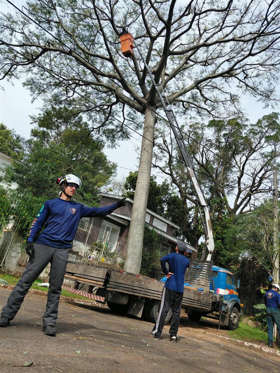 Equipe em poda com cesto aéreo