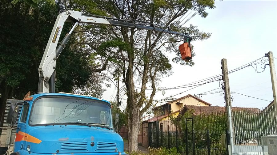 Caminhão com cesto aéreo em poda de árvore na rua