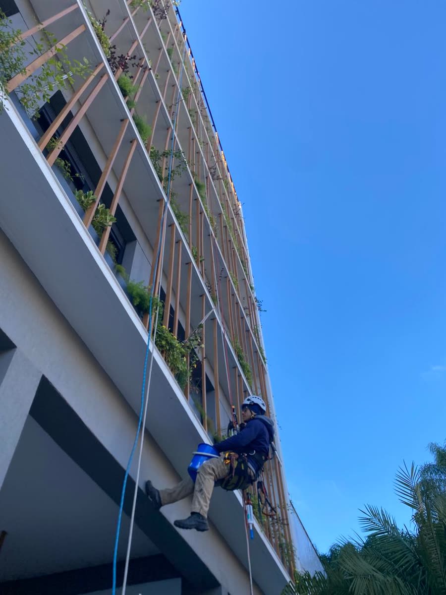 Técnico em acesso por cordas na fachada com floreiras
